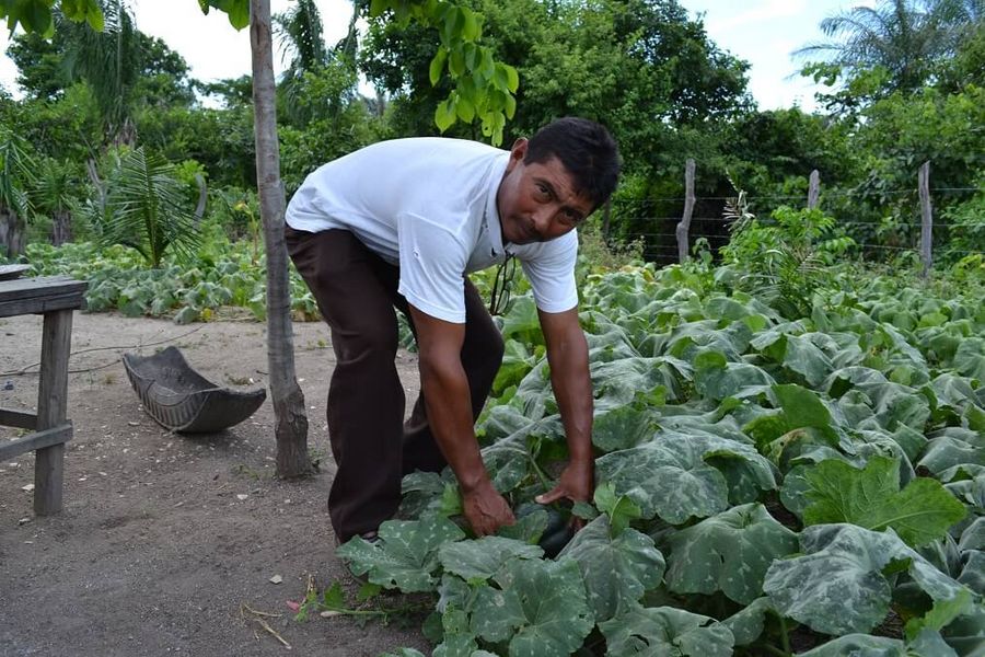Obencio Uriana was given training in new farming methods. Photo: Malteser International