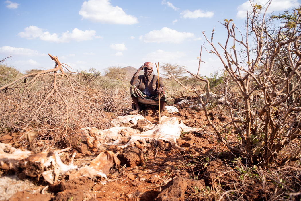 Heat waves and droughts due to climate change