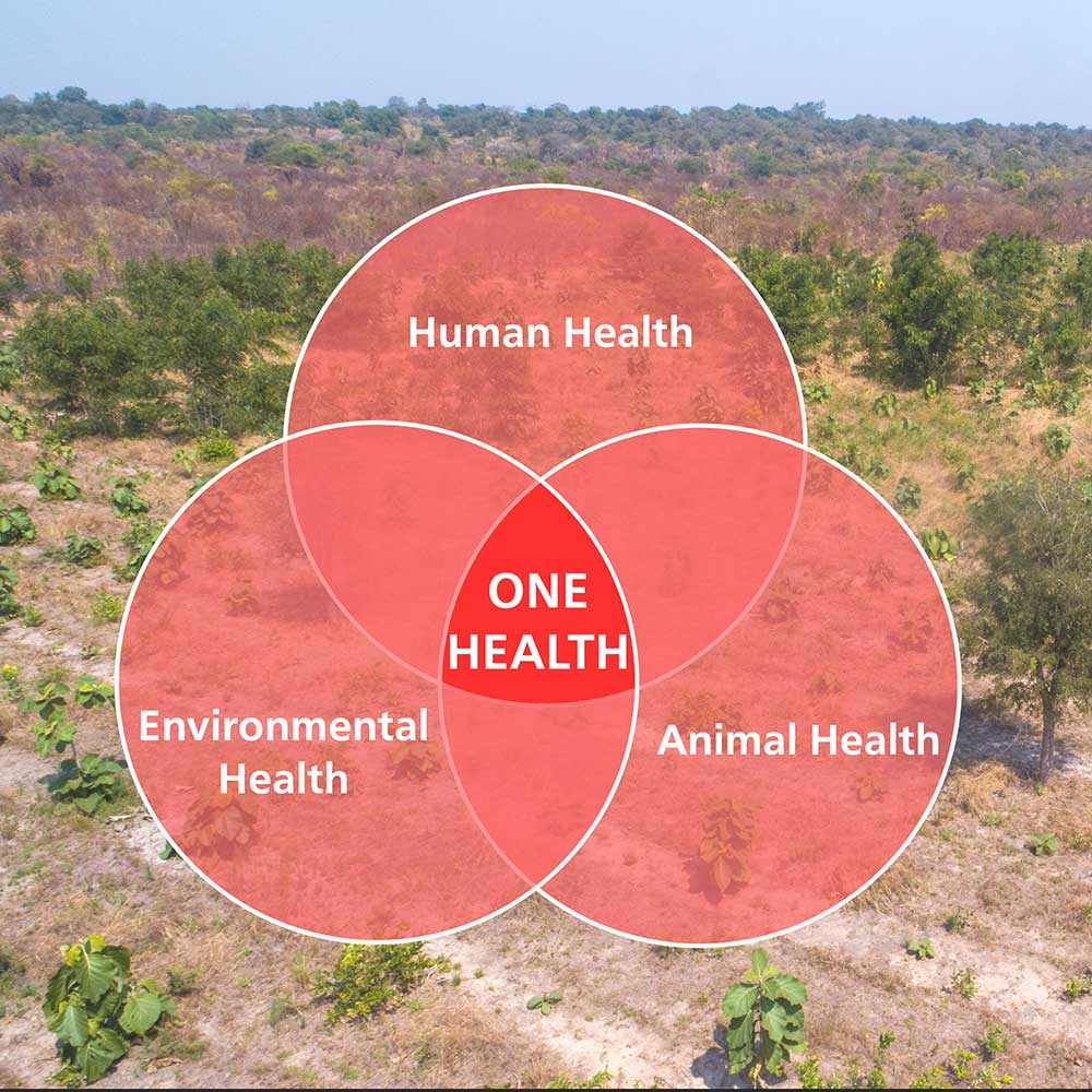 One Health circle