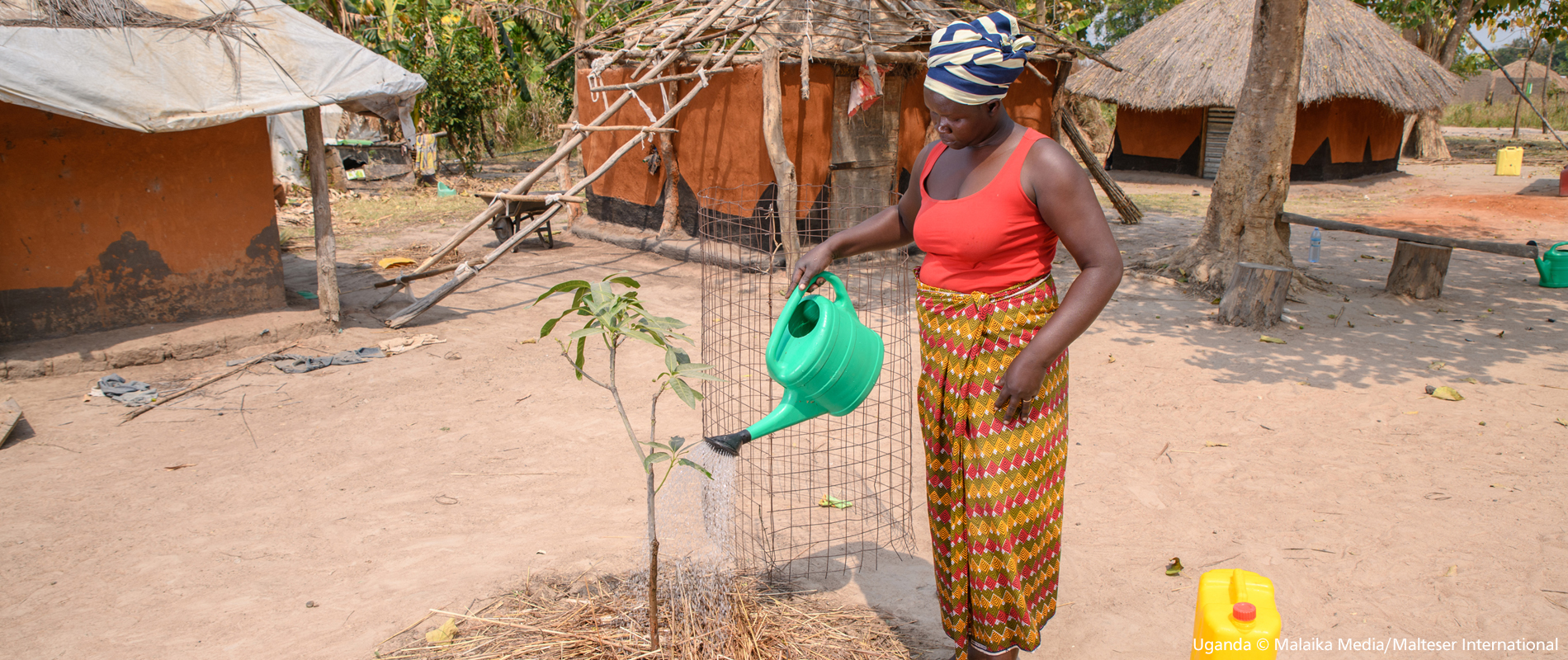 Donate now and plant trees