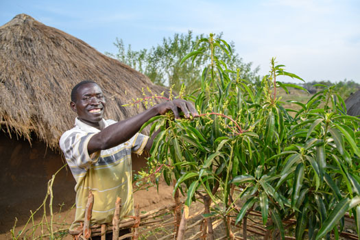 Unser Aufforstungsprojekt in Uganda