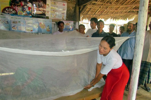 Verteilung von Moskitonetzen zum Schutz gegen Malaria