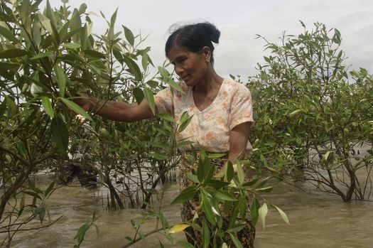 Klimaschutz in Myanmar