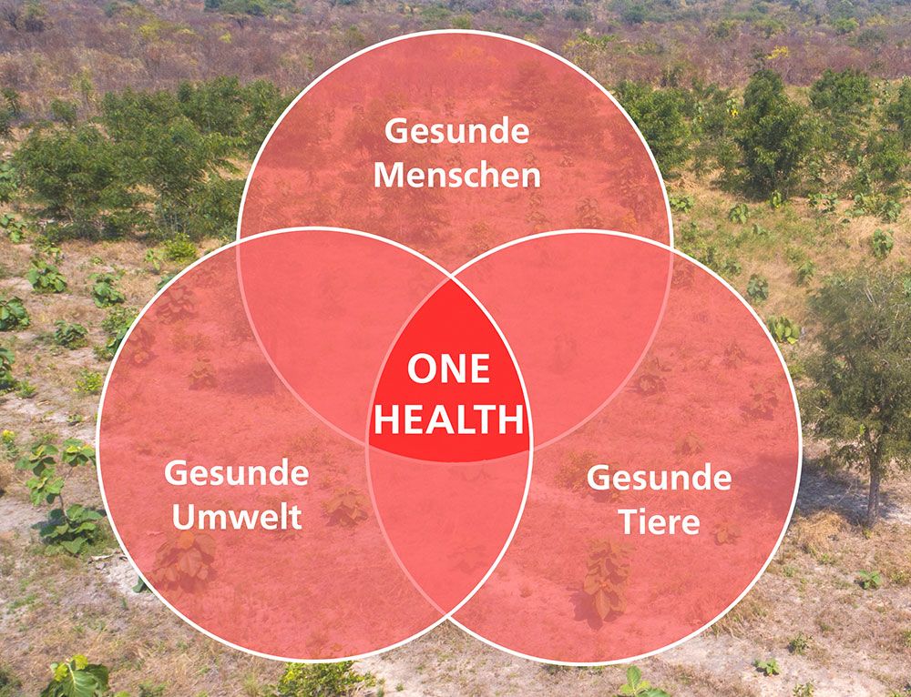 Grafik One Health-Kreis