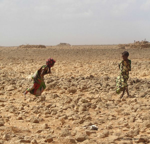 Dürre: Hungerkatastrophe in Ostafrika