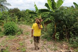 Kolumbien: Anpassung an den Klimawandel und Ernährungssicherheit