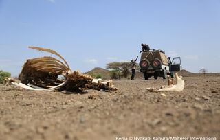 Andauernde Dürre in Kenia