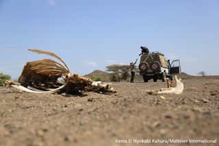 Andauernde Dürre in Kenia