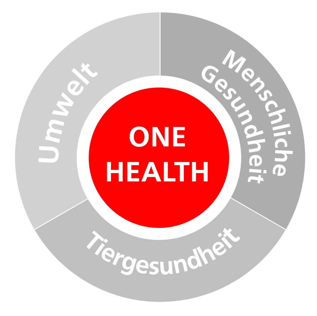 One Health