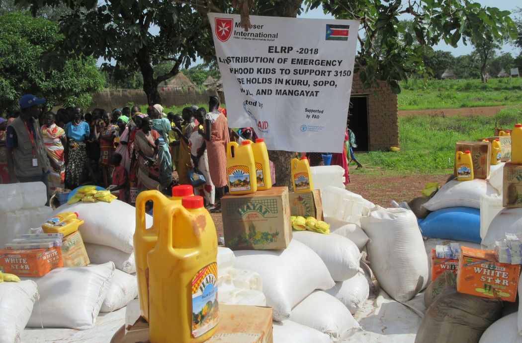 Distribution of relief items in South Sudan