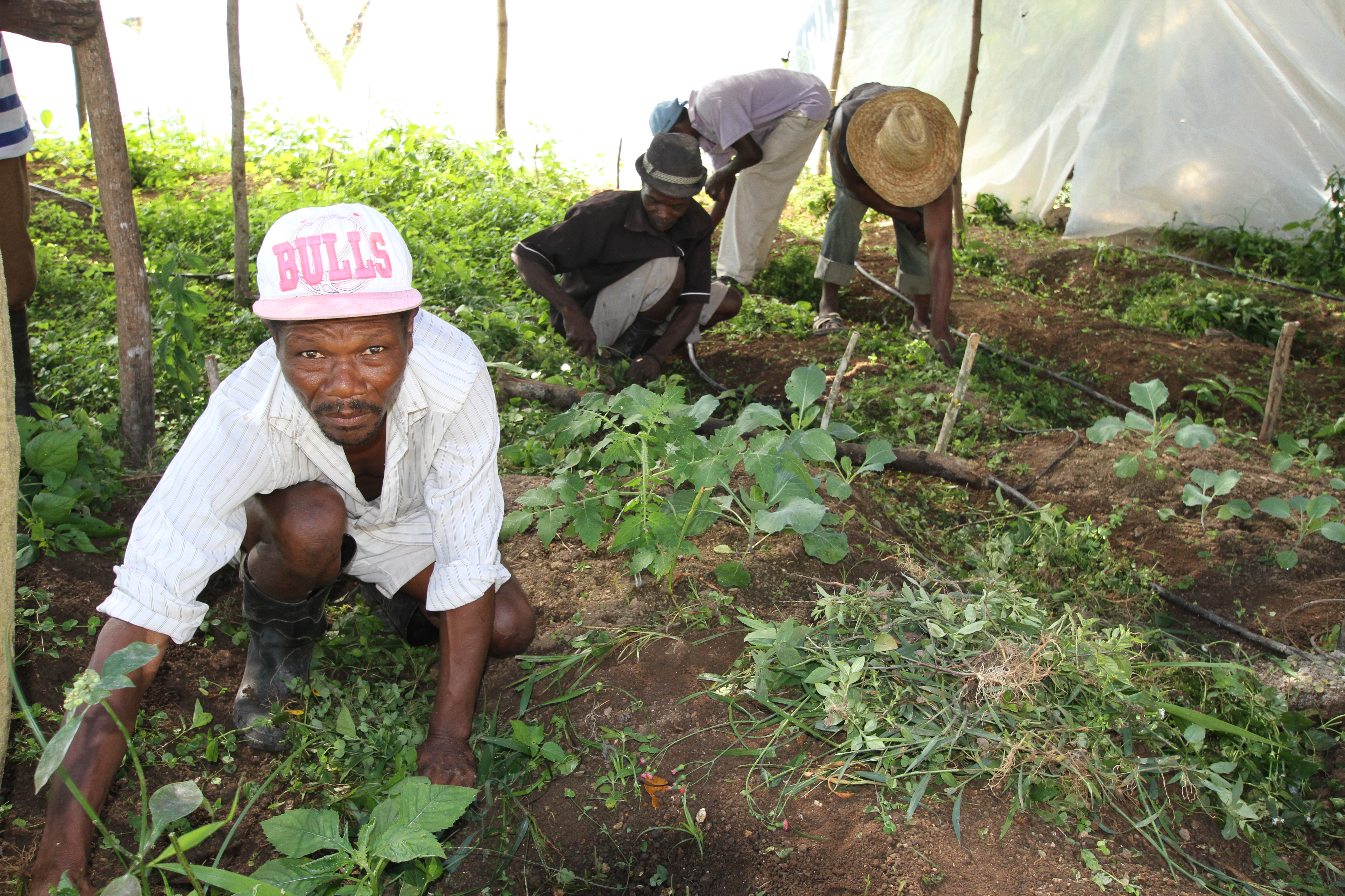 haiti americas our workhome the village works